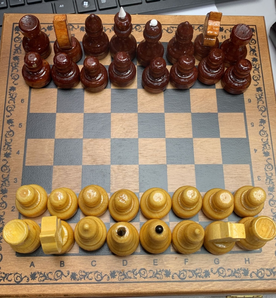 Шахматы