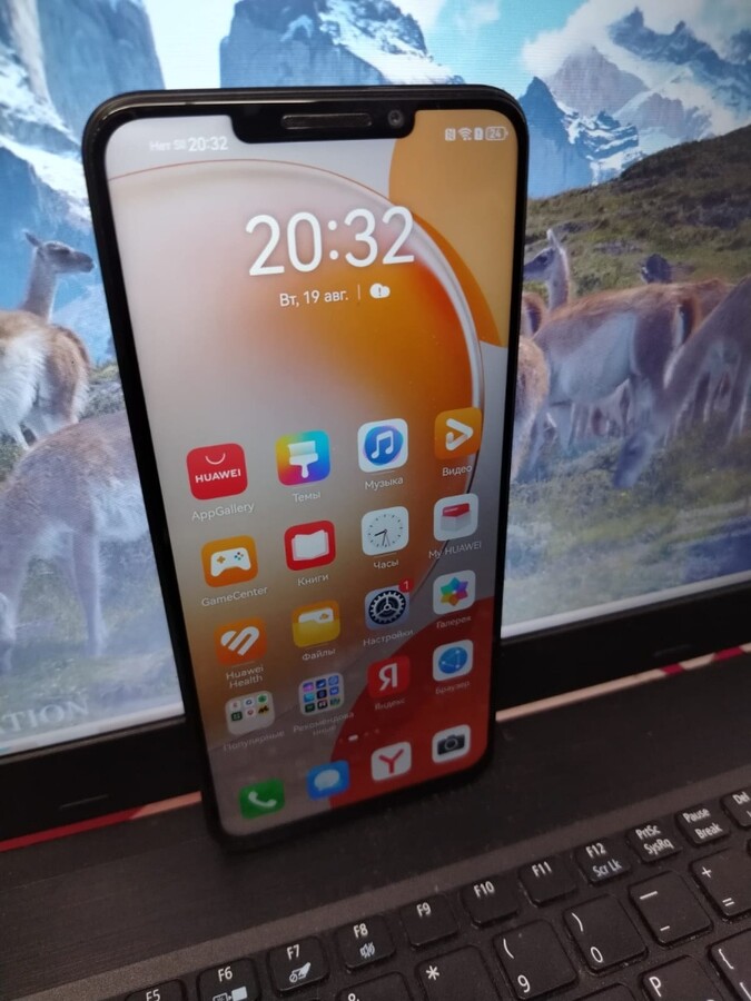Смартфон Huawei Nova Y91