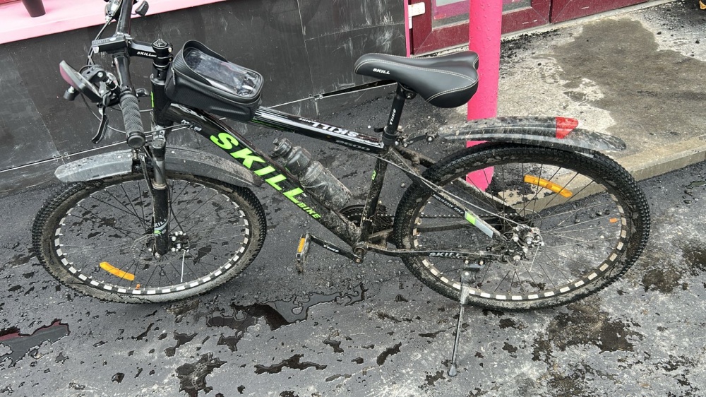 Кусторез CSH 272